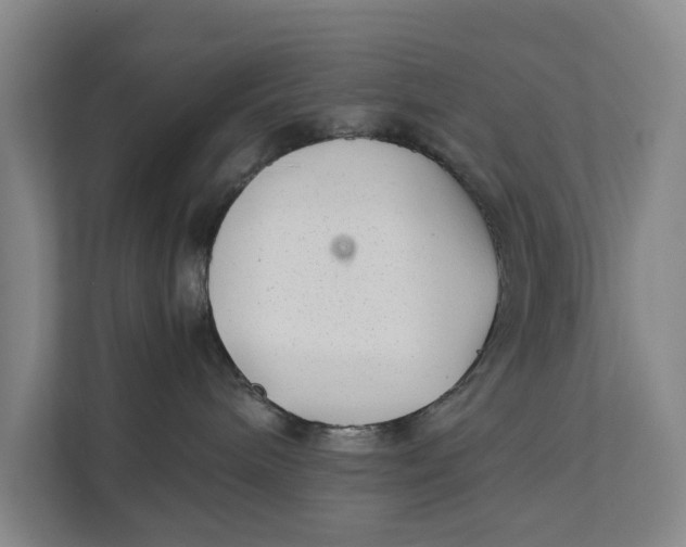 X0000112400240200909041342