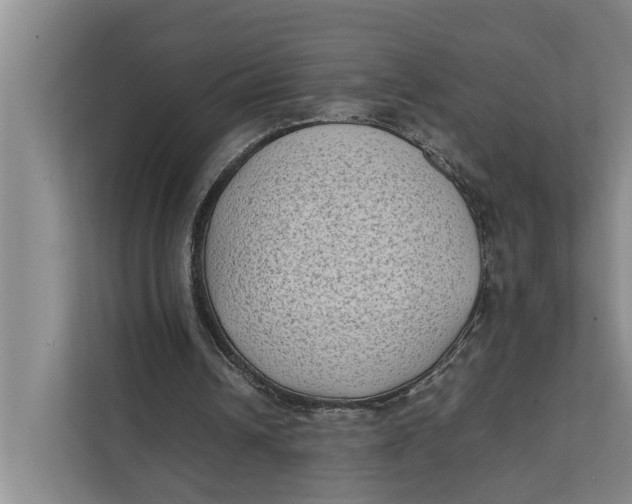 X0000112400242200909041342