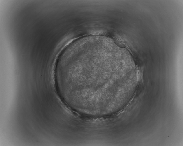 X0000112400243200909041342