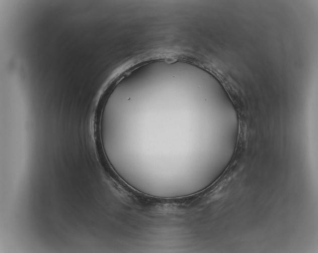 X0000112400244200909041342