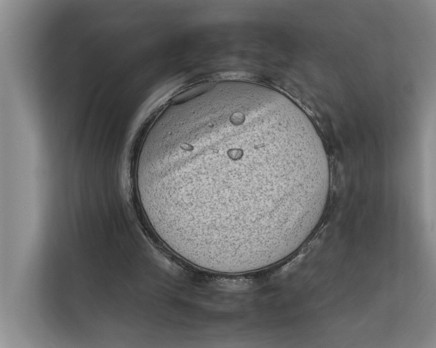 X0000112400245200909041342