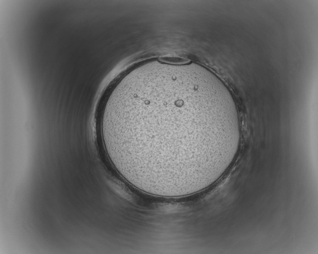 X0000112400246200909041342
