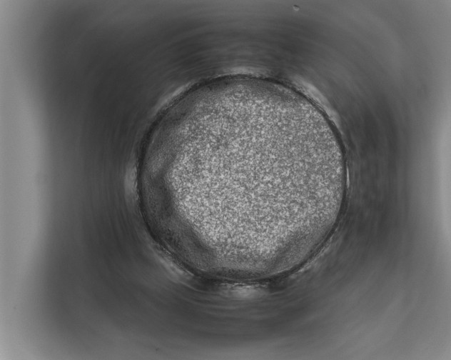 X0000112400249200909041342