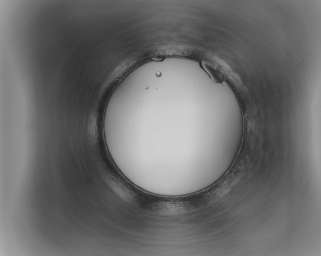 X0000112400250200909041342