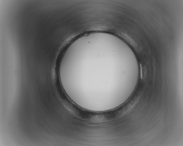 X0000112400252200909041342