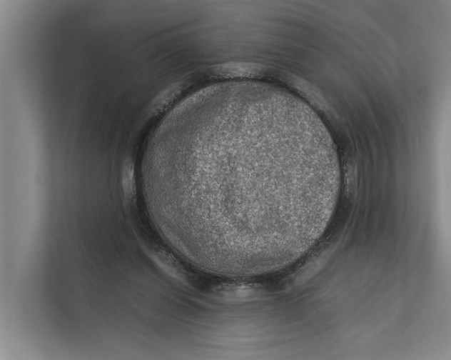 X0000112400254200909041342