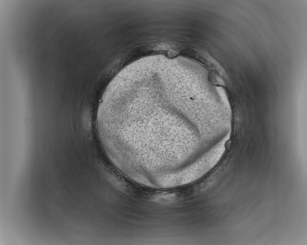 X0000112400257200909041342