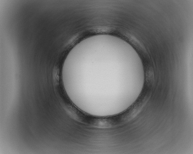 X0000112400264200909041342
