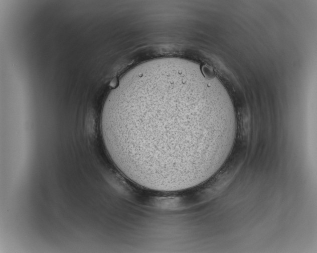 X0000112400266200909041342
