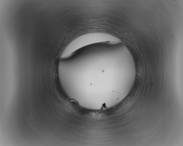 X0000112400272200909041342