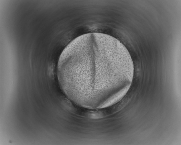 X0000112400275200909041342