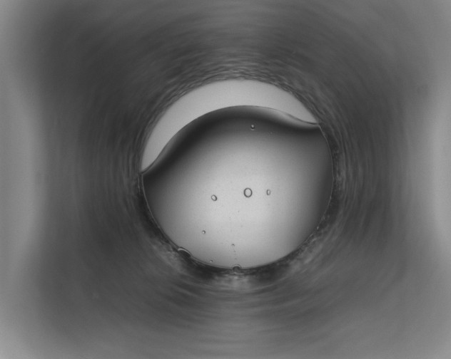 X0000112400276200909041342