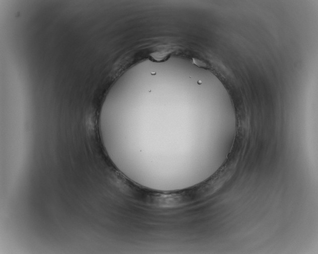 X0000112400277200909041342