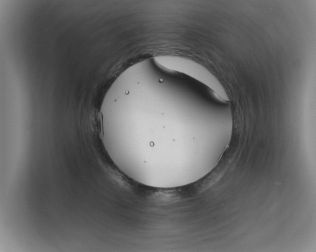 X0000112400280200909041342