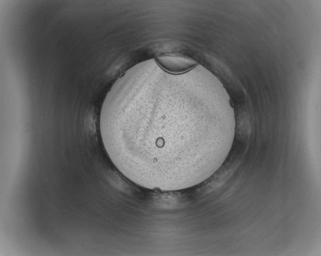 X0000112400282200909041342