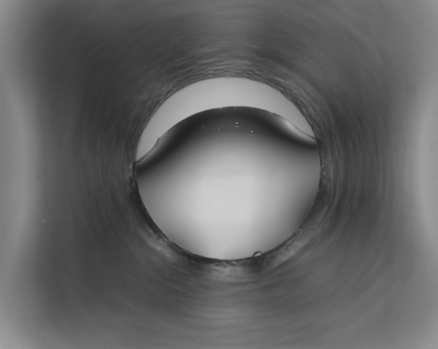 X0000112400284200909041342