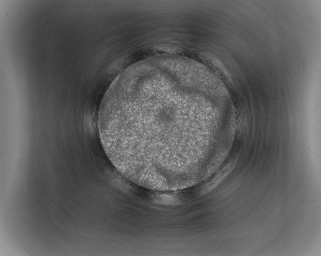 X0000112400285200909041342