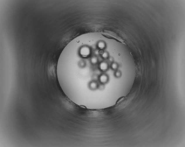 X0000112400286200909041342