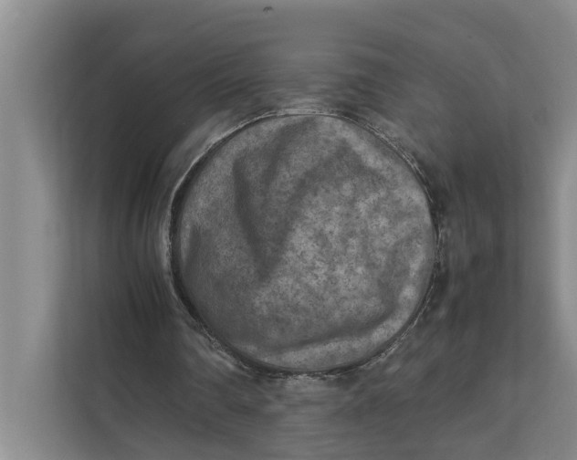 X0000112400290200909041341