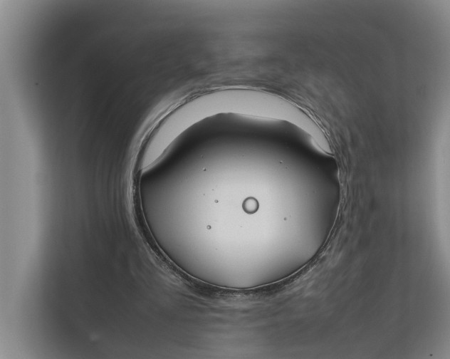 X0000112400293200909041341