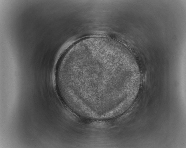 X0000112400294200909041341