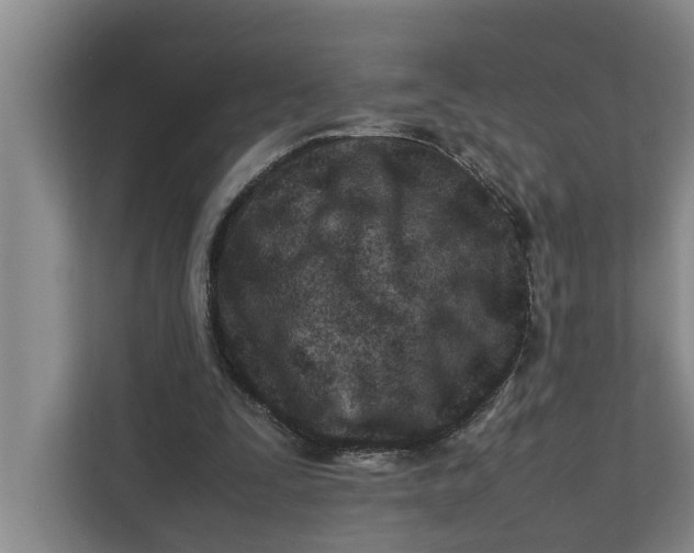 X0000112400295200909041341