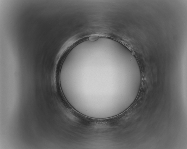 X0000112400296200909041341