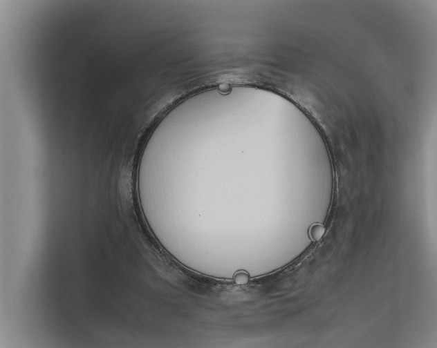 X0000112400297200909041341