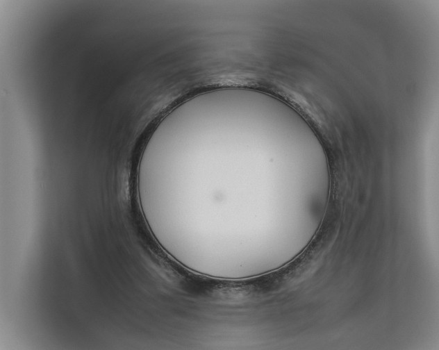 X0000112400299200909041341