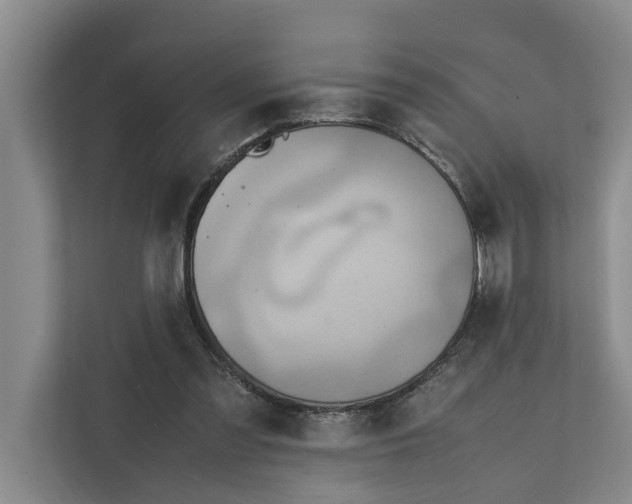 X0000112400301200909041341