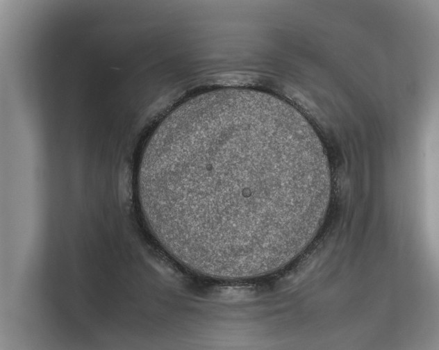 X0000112400303200909041341