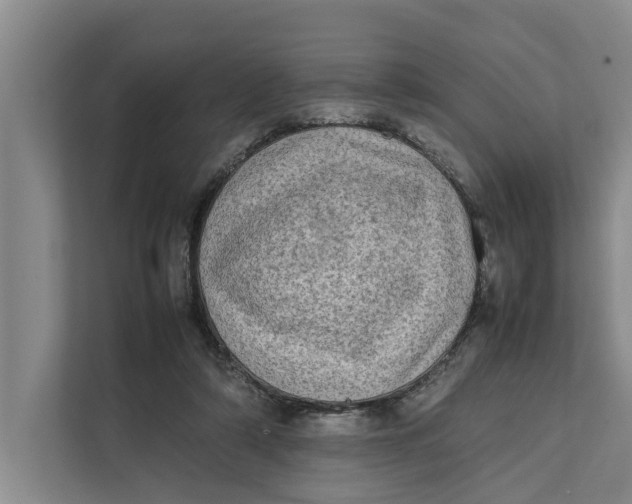X0000112400306200909041341