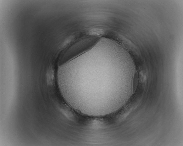 X0000112400308200909041341