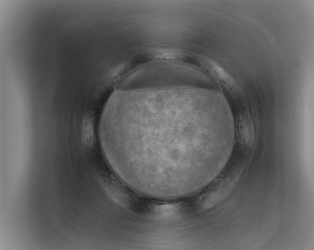 X0000112400312200909041341
