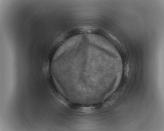 X0000112400314200909041341