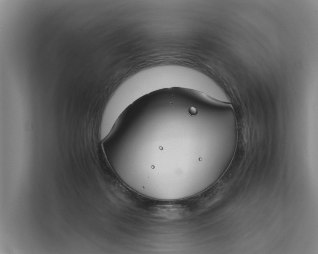 X0000112400316200909041341