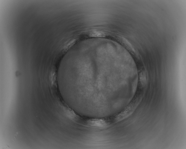X0000112400322200909041341