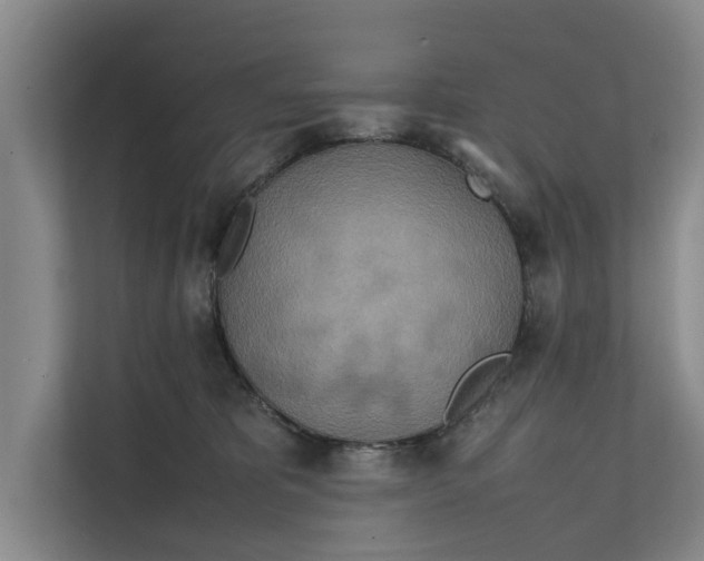 X0000112400325200909041341