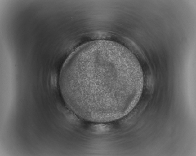 X0000112400326200909041341