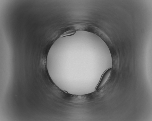 X0000112400329200909041341