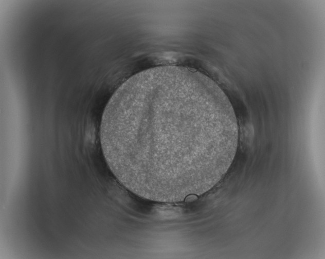 X0000112400331200909041341