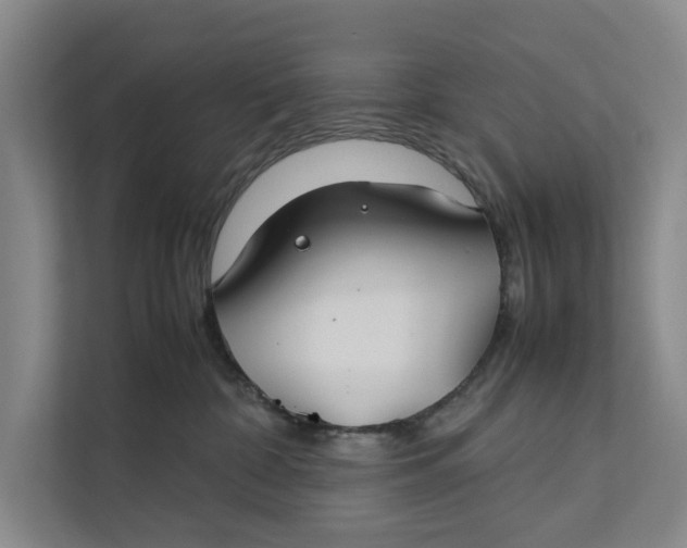 X0000112400332200909041341