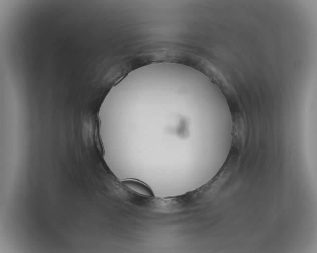 X0000112400333200909041341