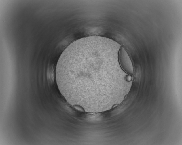 X0000112400334200909041341