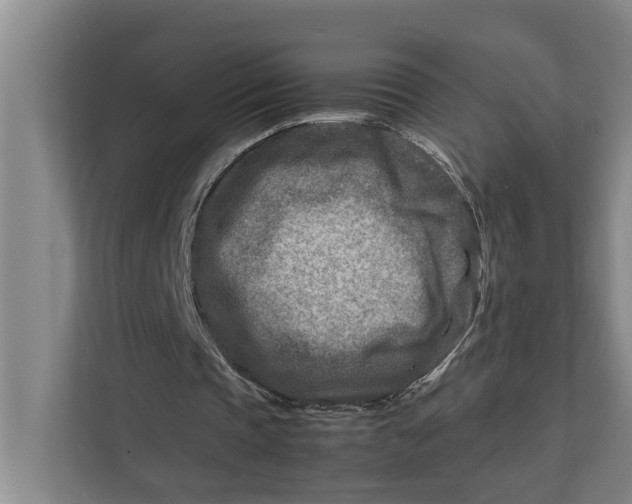 X0000112400337200909041340