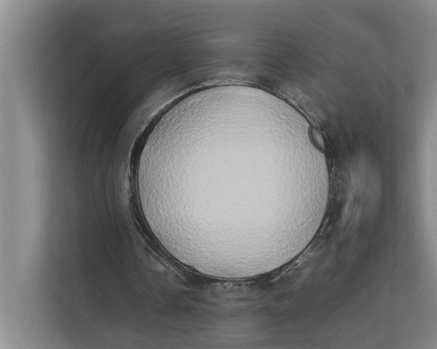 X0000112400338200909041340