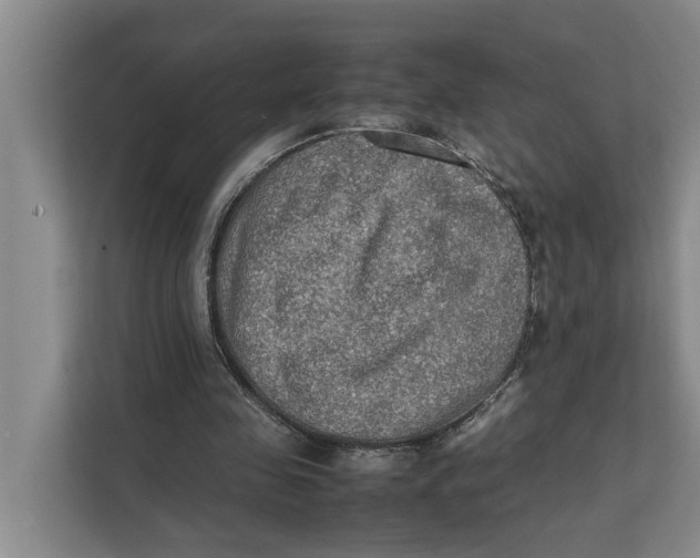 X0000112400341200909041340