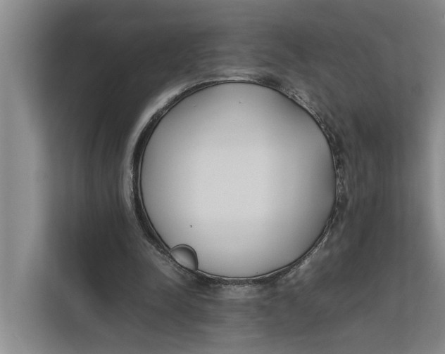 X0000112400342200909041340