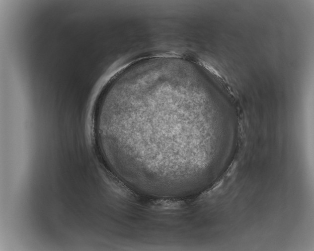 X0000112400343200909041340