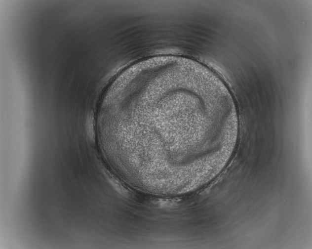 X0000112400345200909041340